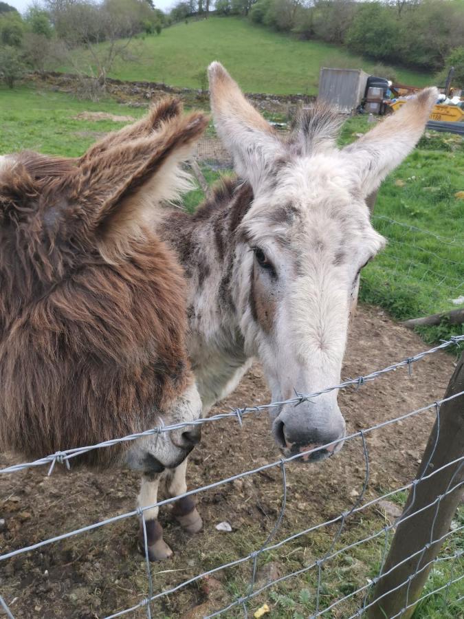 Villa Cwm Farm Cwtch Merthyr Tydfil Esterno foto