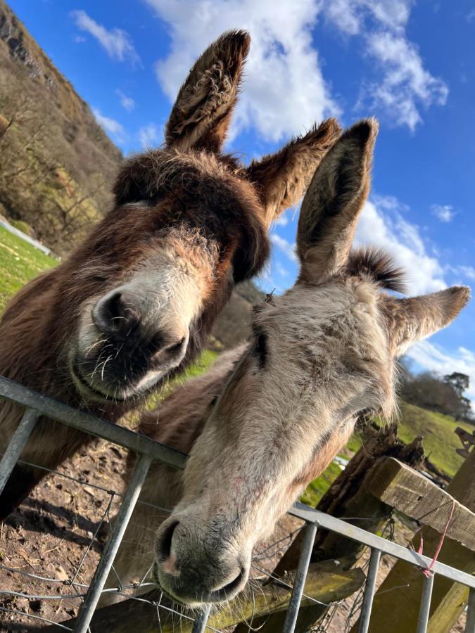 Villa Cwm Farm Cwtch Merthyr Tydfil Esterno foto